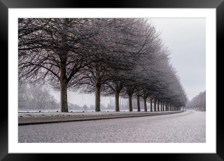 Sweeping trees, Lincoln Framed Mounted Print by Andrew Scott