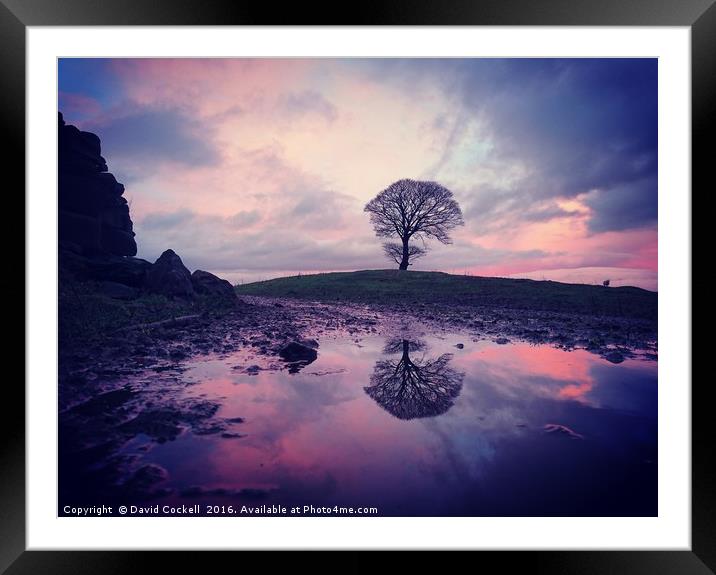 King hill tree after the rain Framed Mounted Print by David Cockell