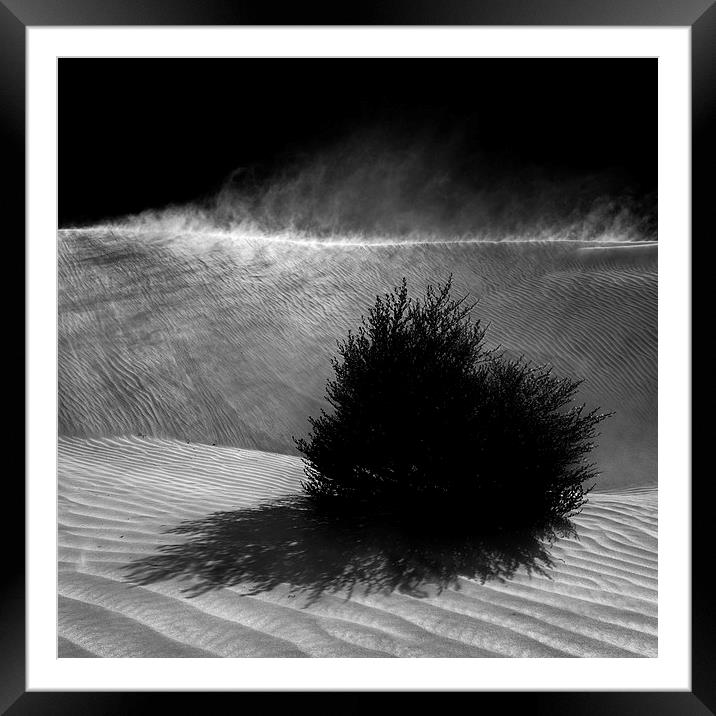  Sand Storm Framed Mounted Print by Julian Cook