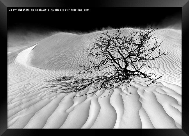 Sand Storm  Framed Print by Julian Cook