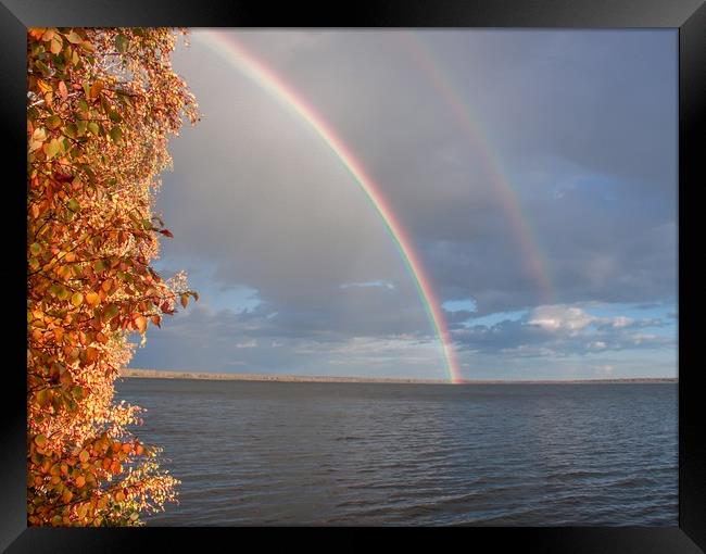 Double Rainbow Framed Print by Svetlana Korneliuk