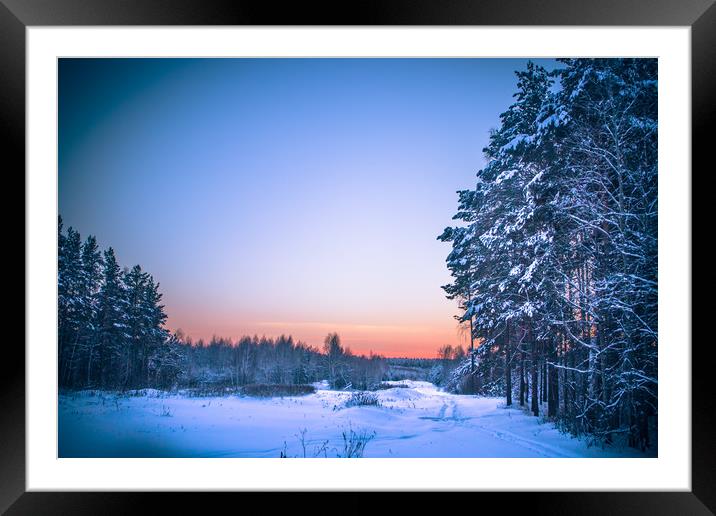 Enchanted forest Framed Mounted Print by Svetlana Korneliuk