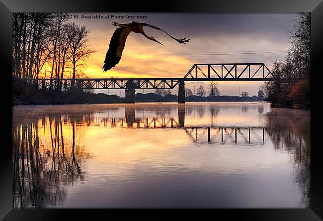 Snohomish Framed Print by Paul Fell