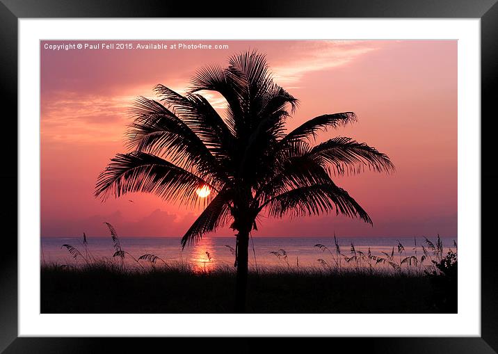 Florida Sunrise Framed Mounted Print by Paul Fell
