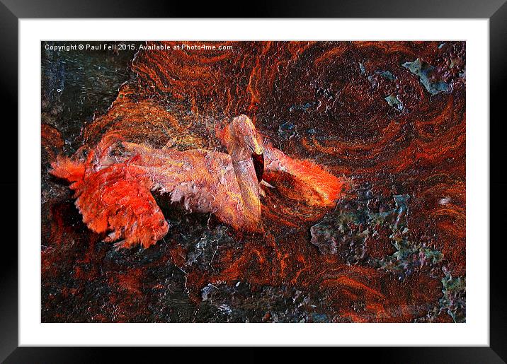 Flamingo Rust Framed Mounted Print by Paul Fell