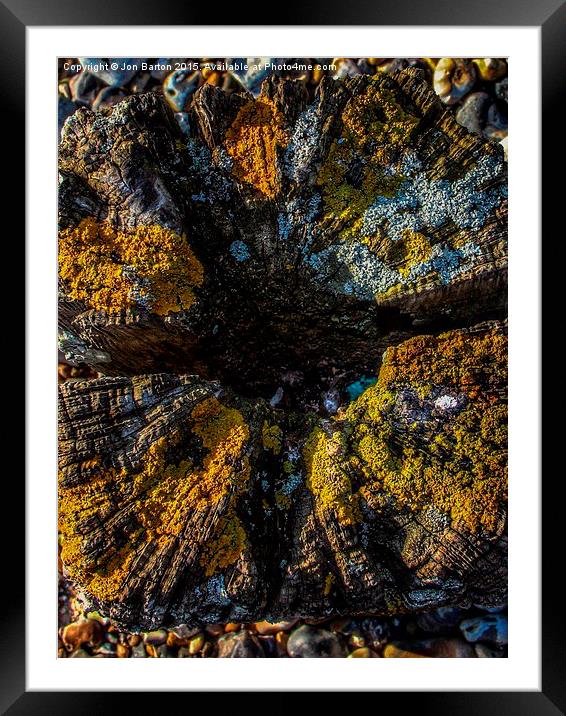  Lichen  Framed Mounted Print by Jon Barton