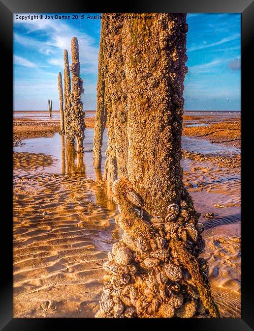  Mussel beach Framed Print by Jon Barton