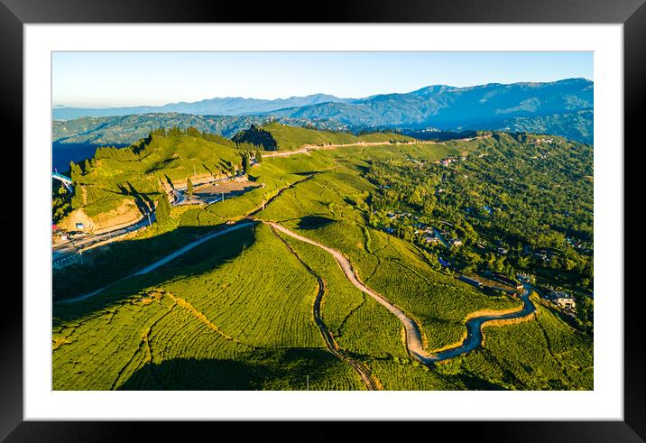 aerial view of tea farmland Framed Mounted Print by Ambir Tolang