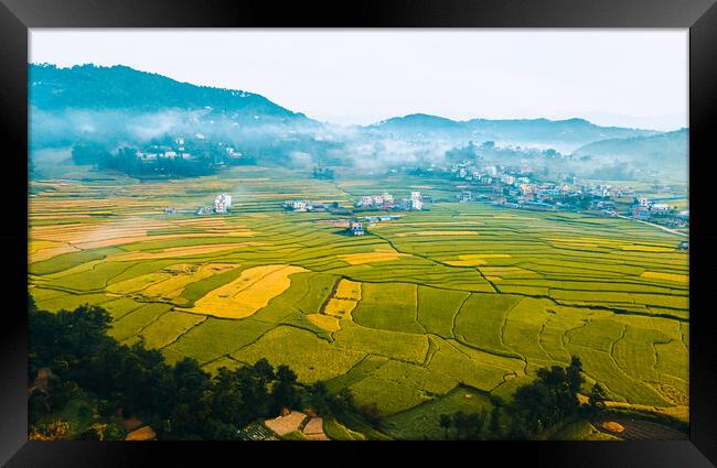 aerial view of paddy farmland Framed Print by Ambir Tolang