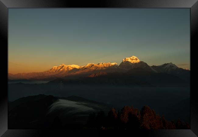 Shining Golden Mount Annapurna Framed Print by Ambir Tolang