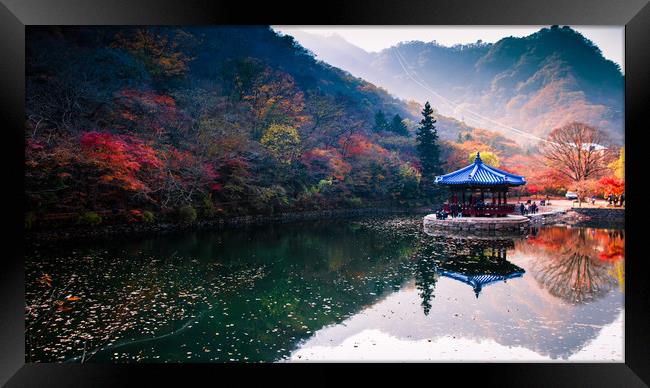 autumn colors reflection  Framed Print by Ambir Tolang