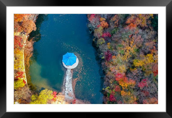 beautiful aerial view of Autumn Framed Mounted Print by Ambir Tolang