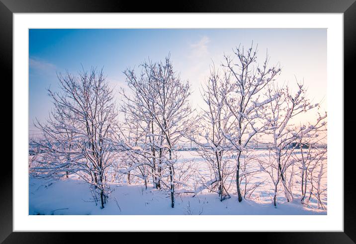 snow coverd tree Framed Mounted Print by Ambir Tolang
