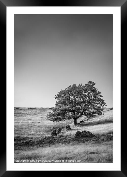 Lone Tree at Digley Framed Mounted Print by Gary Turner