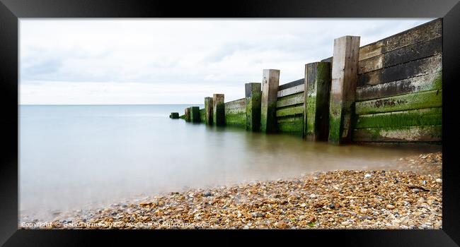 Milford Timber Groyne Framed Print by Gary Turner