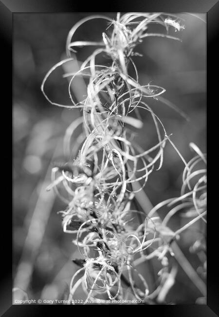 Abstract nature Framed Print by Gary Turner