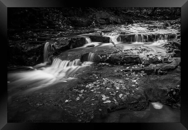 Judy Woods Waterfall Monochrome Framed Print by Gary Turner