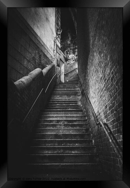 Dog Leap Stairs Framed Print by Gary Turner