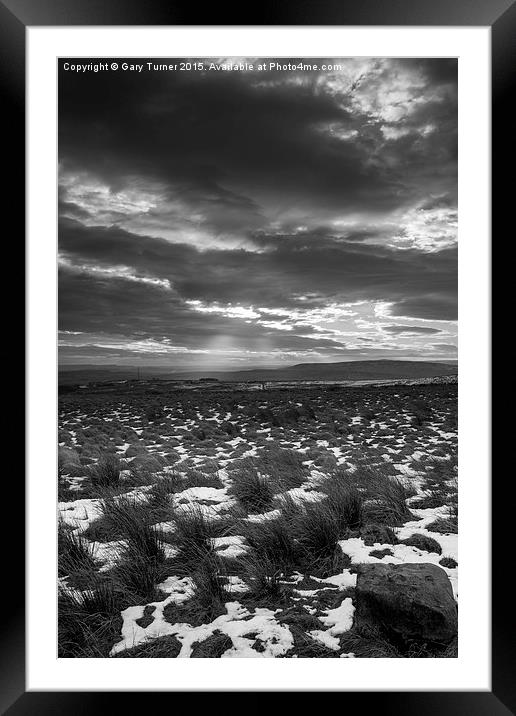 Barren Moor portrait Framed Mounted Print by Gary Turner