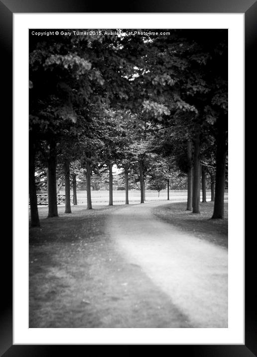  Avenue of Trees Framed Mounted Print by Gary Turner