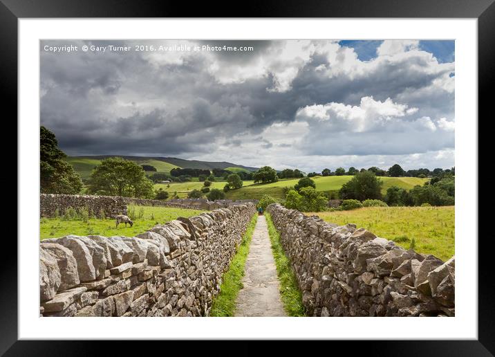 Through the dry stone walls Framed Mounted Print by Gary Turner