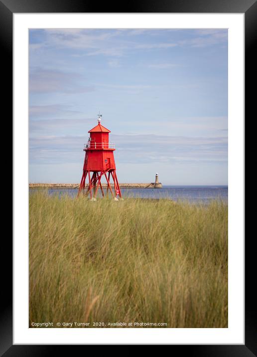Herd Groyne Lighthouse through the dunes Framed Mounted Print by Gary Turner
