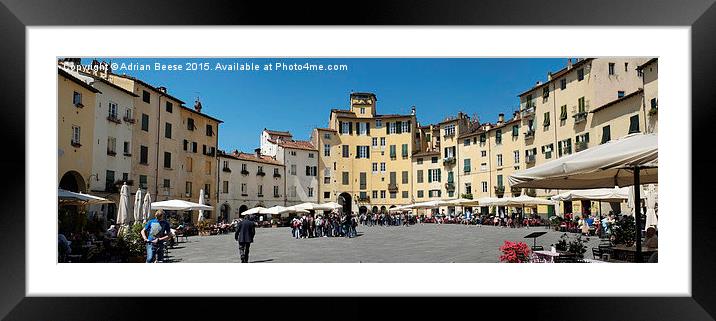  Piazza Dell' Anfiteatro Panorama  Framed Mounted Print by Adrian Beese