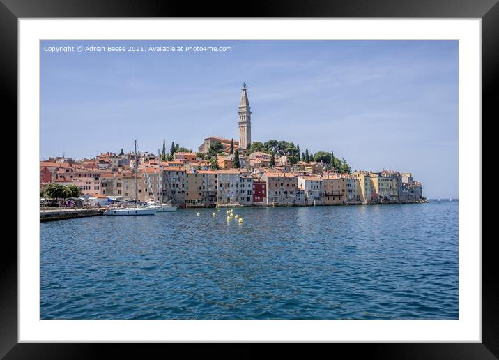 Rovinj Croatia outer harbour with church on the hill Framed Mounted Print by Adrian Beese