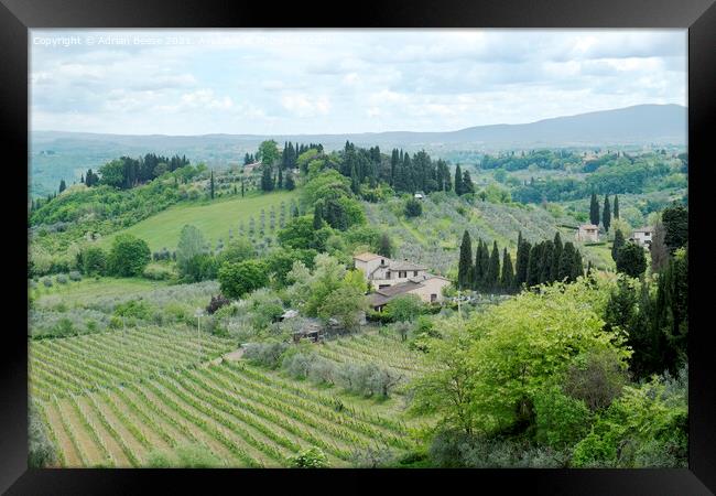 Tuscan Villa and vineyards Framed Print by Adrian Beese