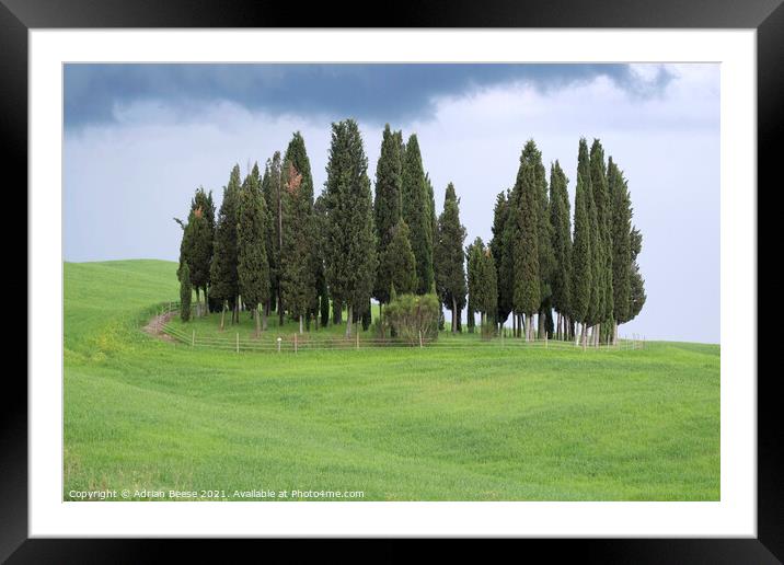 Tuscan Trees Framed Mounted Print by Adrian Beese