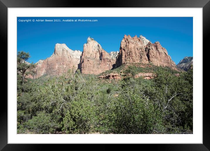 Temples and Towers Mountain Zion National Park Framed Mounted Print by Adrian Beese