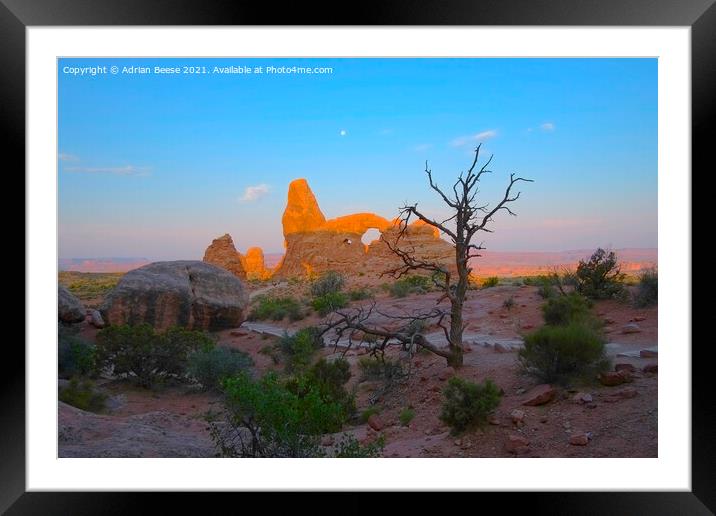 Desert dawn at Arches National Park Framed Mounted Print by Adrian Beese