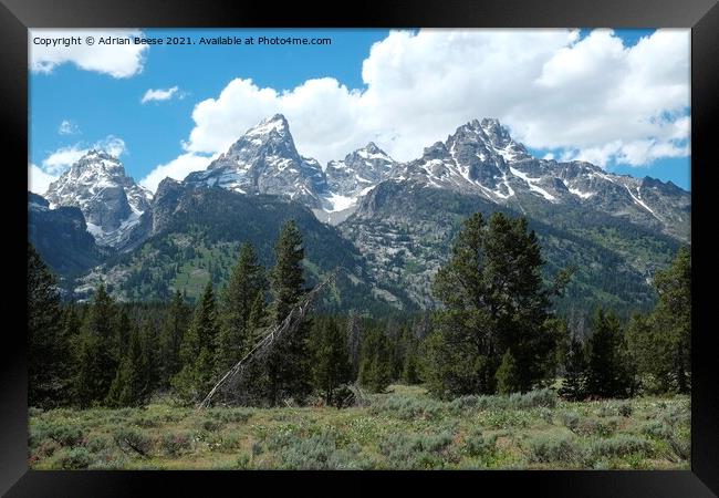 The Grand Tetons Mountain Range Framed Print by Adrian Beese