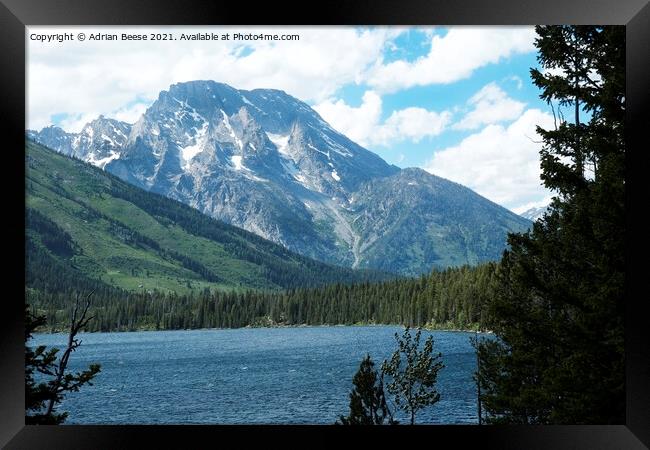 Grand Teton from Jenny Lake Framed Print by Adrian Beese