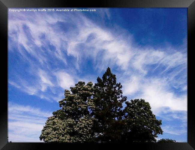 Brush strokes in the sky  Framed Print by Marilyn Graffe