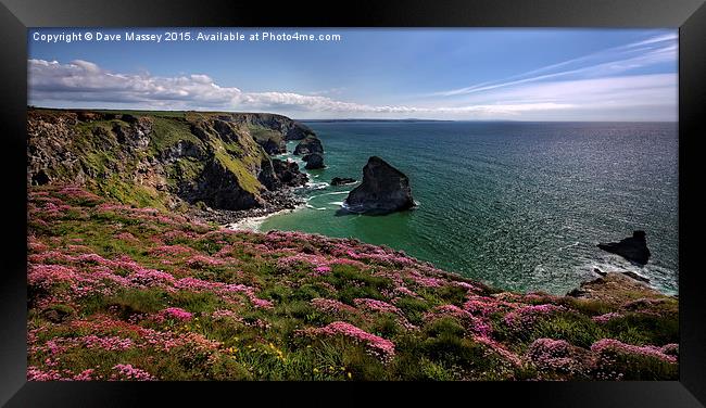 Spring Flowers on Cliffs Framed Print by Dave Massey