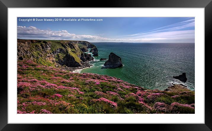 Spring Flowers on Cliffs Framed Mounted Print by Dave Massey