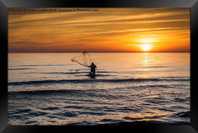  Gone fishing Framed Print by DeniART 