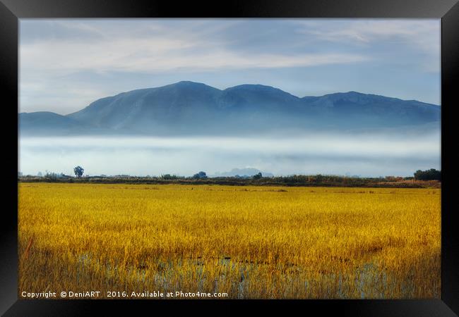 A view over the ricefields Framed Print by DeniART 