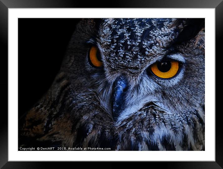 Bubo Bubo Dr. Hook Framed Mounted Print by DeniART 