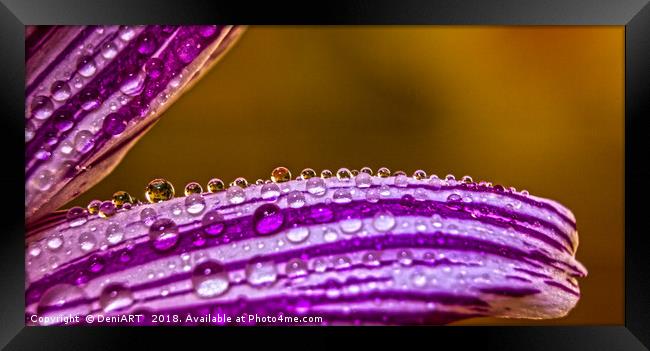 Drops Framed Print by DeniART 