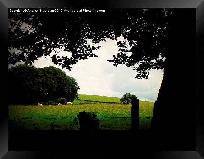 The sillouette and the sheep... Framed Print by Andy Blackburn