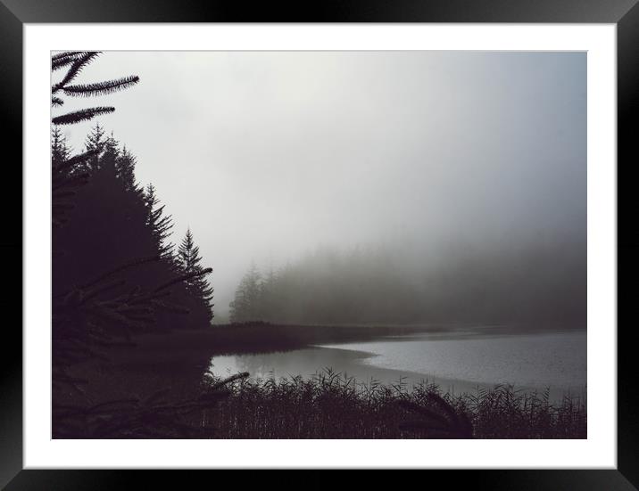  morning mist Framed Mounted Print by Brent Olson