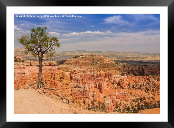 Bryce Canyon, Utah USA Framed Mounted Print by Super Jolly