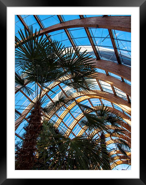 Sheffield Winter Gardens Framed Mounted Print by Chris Watson