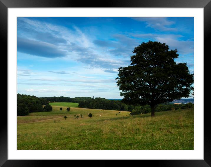 Wentworth Woodhouse Deer Park Framed Mounted Print by Chris Watson