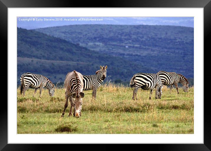 Blue Hills  Framed Mounted Print by Sally Stevens