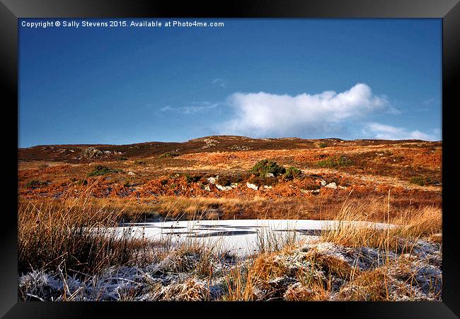  Winter Loch Framed Print by Sally Stevens