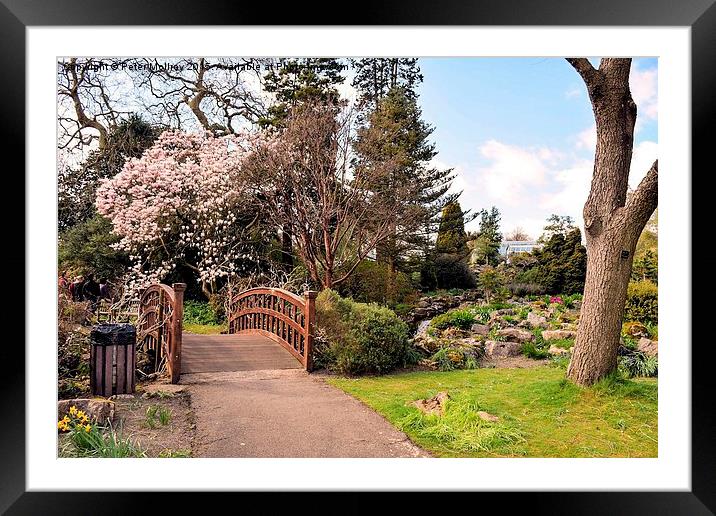  Swansea Botanical Gardens Framed Mounted Print by Peter McIlroy