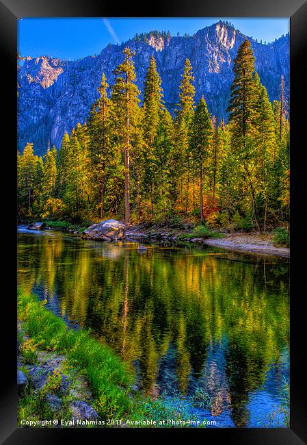 Reflections on the Merced river, Yosemite National Framed Print by Eyal Nahmias